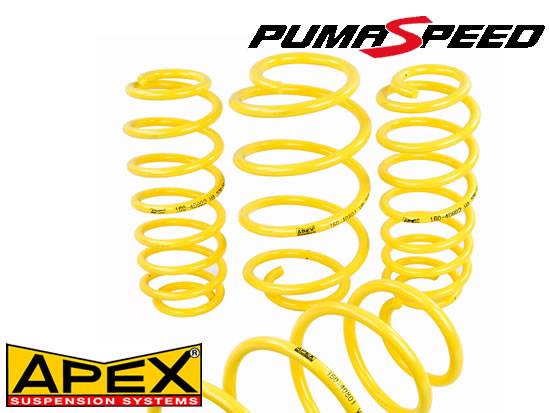 Apex lowering springs for all Ford Fiesta Focus ST models available at Pumaspeed Performance